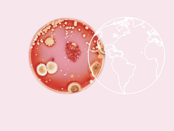 'Antibioticaresistentie vormt groot gevaar voor volksgezondheid'