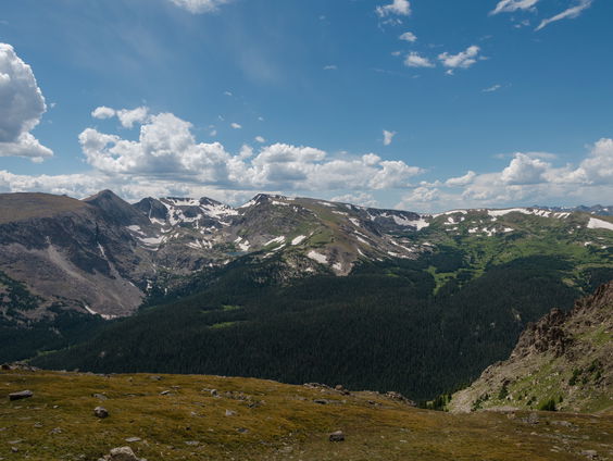 Uitgelicht: Turks 'Amazonegebied' bedreigd door houtkap