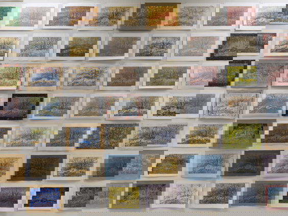 300 prenten van één en hetzelfde bosje