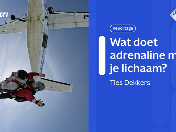 Wat doet adrenaline met je lichaam?