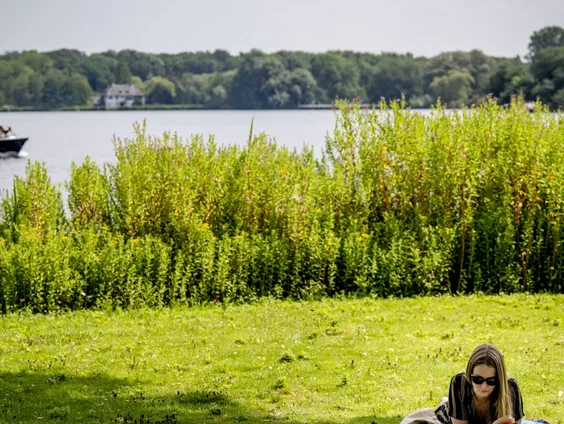 Stand.nl: 'Ik wil meer groen in mijn wijk'