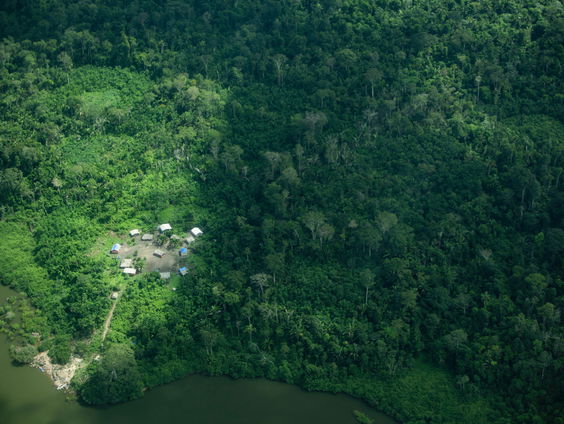 Strijd voor het Amazonebehoud