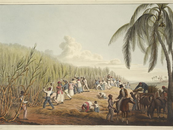 Louisiana en haar geheime poging om de slavenhandel in stand te houden