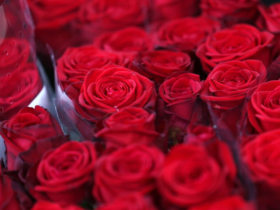 Valentijnsdagfeest voor singles in Utrecht