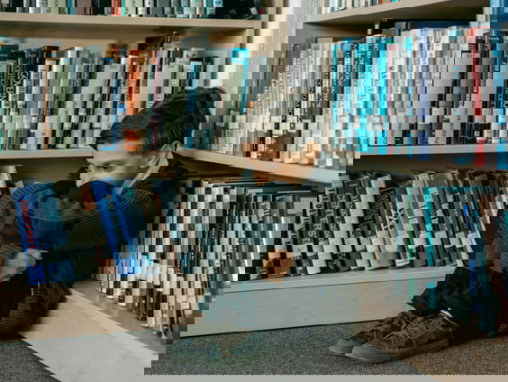 Meldplicht voor intimidatie en pestgedrag: 'Zorgt voor kramp bij slachtoffers'