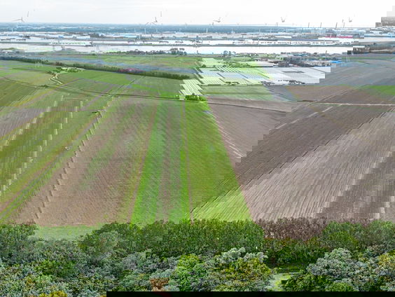 Nieuwe natuurbegraafplaats bij Bonnenpolder