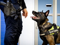 Mishandeling van Politiehonden: Onderzoek Zembla onthult continuïteit van gewelddadige training