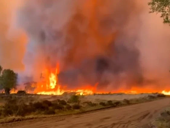 Defensie oefent door ondanks brandgevaar