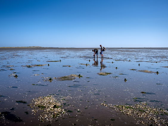 Zijn zorgen over mogelijke gasboringen onder de Waddenzee terecht?