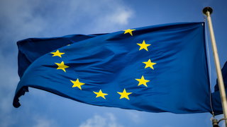 Moet het vetorecht in de EU op de schop?