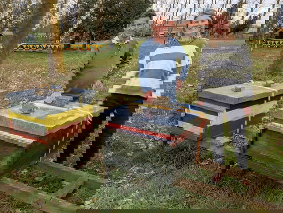 Honingbij verzamelt ook pesticiden