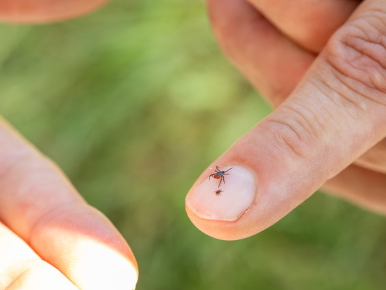 Feit of Fictie: teken worden pas actief boven de 7 graden