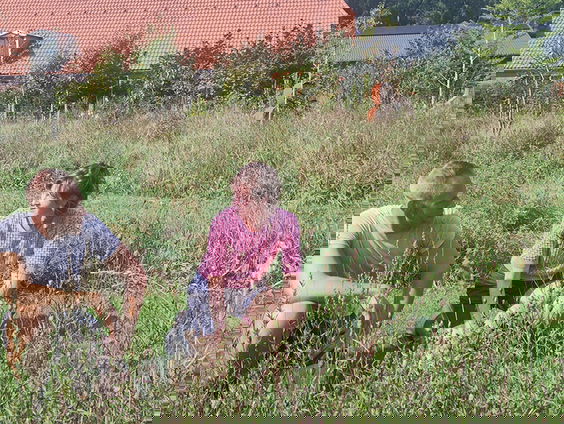 Streektuinen: inheemse natuur in eigen tuin