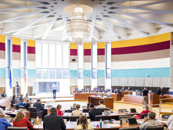 Limburgs spreken tijdens vergadering in het provinciehuis