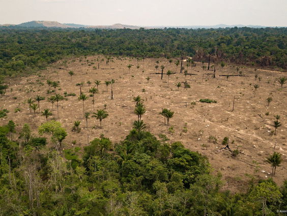 Amazonelanden bespreken bescherming regenwoud in aanloop naar VN-klimaattop