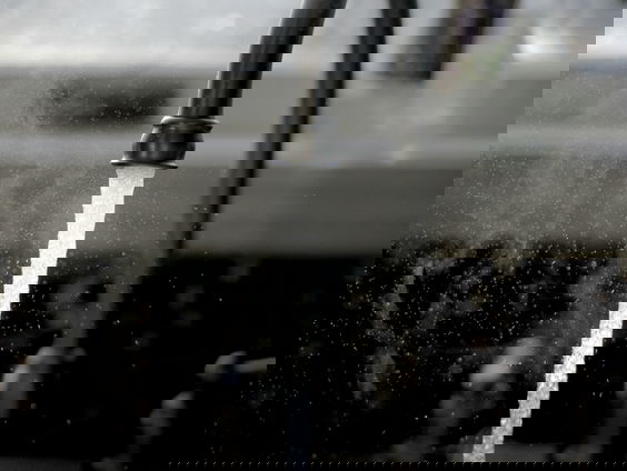 Hoe komt de poepbacterie in ons drinkwater?