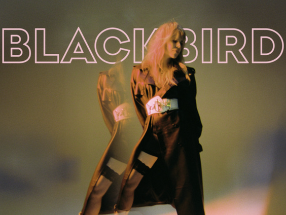 Body Language van Blackbird is deze week NPO Radio 2 TopSong