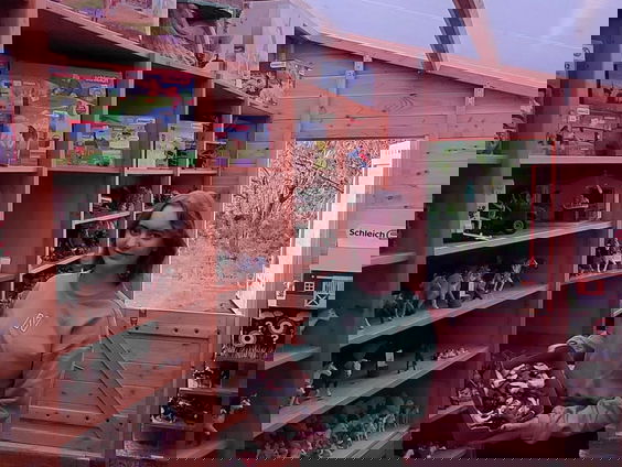 Rosalie (14) verzamelt en verkoopt miniatuurpaardjes van Schleich