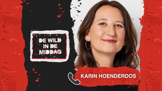 Karine Hoenderdos over haar E-reader Aanrader 'Een Jaar Vrij': "Ik heb goed ...