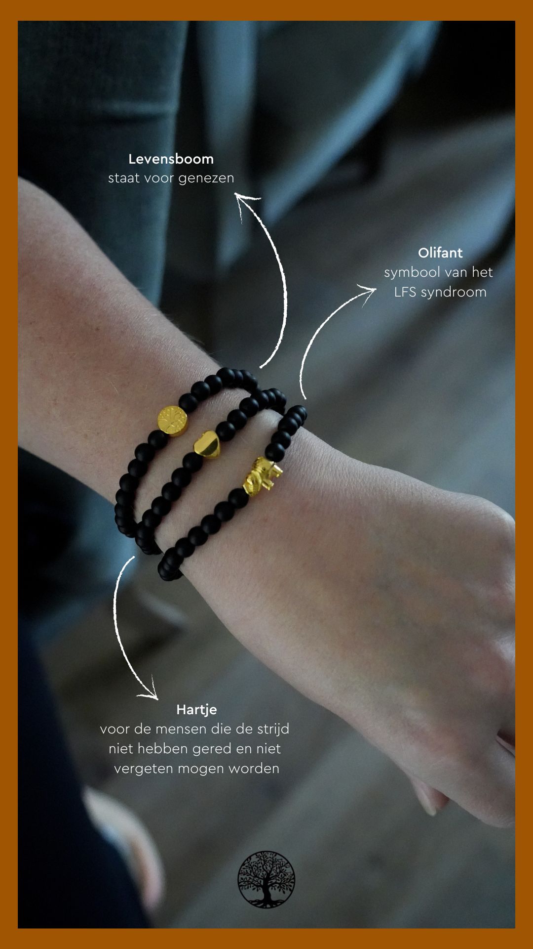 Li-Fraumeni syndroom