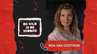 Noa van Oostrom over Ali B.:"Zolang de zaak nog loopt, mag hij het in vrijh ...