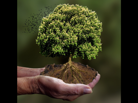 Oscar (7) uit Veghel is een van de jongste klimaatburgemeesters van Nederland