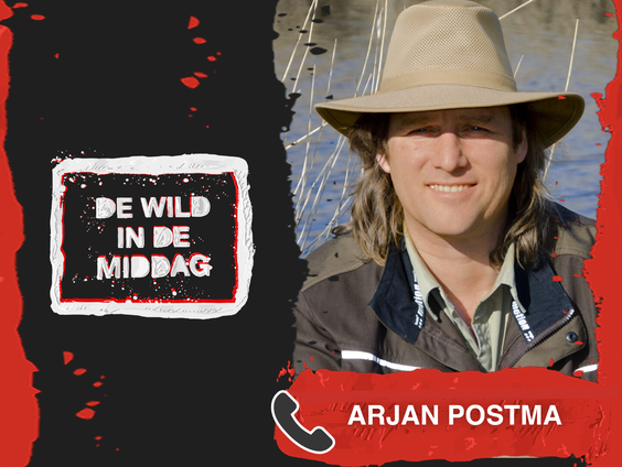 Arjan Postma over extreem giftige paddenstoelen