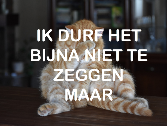 Ik durf het bijna niet te zeggen maar... ik leg 's avonds ECHT ALLES klaar voor de volgende dag