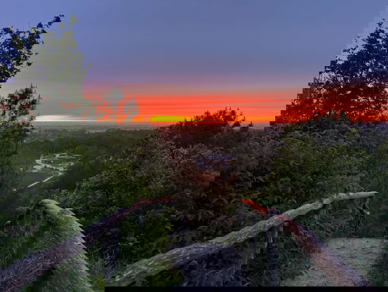 Boswachter Patricia: 'Ga NU naar buiten!'