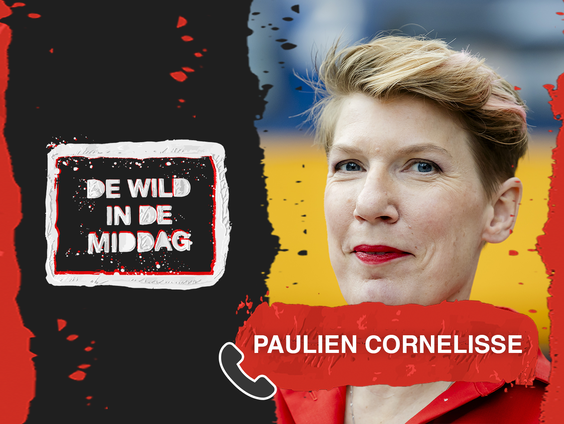 Paulien Cornelisse over haar boek: “Je kunt het tussen dingen door lezen”