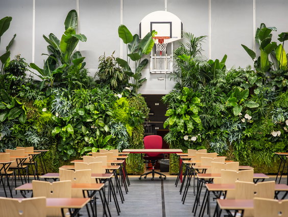 “De natuur kan meer dan we denken”: waarom planten rust geven tijdens de examenperiode