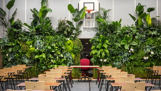 “De natuur kan meer dan we denken”: waarom planten rust geven tijdens de ex ...