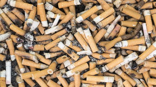 Peukenmeisje Bernadette over filterverbod: "De vervuiler moet nu echt gaan ...