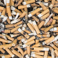 Peukenmeisje Bernadette over filterverbod: "De vervuiler moet nu echt gaan ...