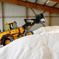 100 miljoen kilo zout: wat doet dat met de natuur?