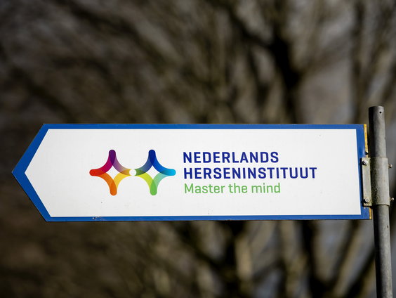 Wereld Alzheimerdag: Technieken om met dementerenden in contact te komen
