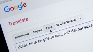 Frans van der Vleuten duikt in streektalen