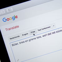 Frans van der Vleuten duikt in streektalen