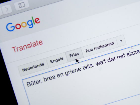 Frans van der Vleuten duikt in streektalen