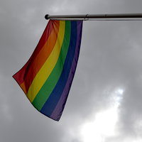 Meer jongeren negatief over homoseksualiteit