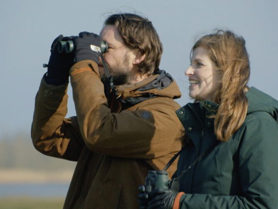 Welke vogels spot je in de winter in Nederland?