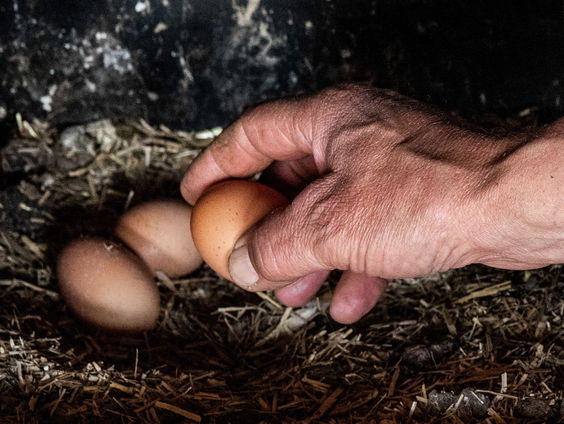 Hoe gaat PFAS weer uit je lichaam?