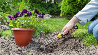 Wat je voor- en achtertuin écht over jou vertellen
