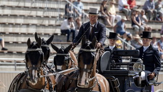 Dag 31: Koos de Ronde uit Zwartewaal pakt wereldtitel met vierspan