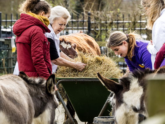 Als vrijwilligers plots hun taken neerleggen stort de samenleving in