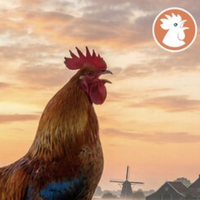 Kees-Willem Rademakers wil het platteland redden