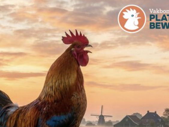 Kees-Willem Rademakers wil het platteland redden