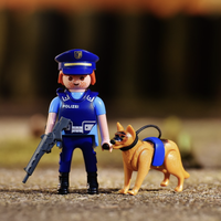 Speurhonden van de politie zoeken drie uur lang naar vrijwilligers die zich ...