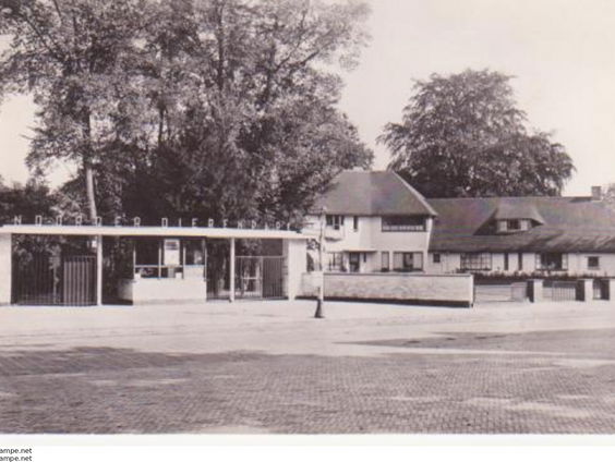 Rieks Scheve over ‘Ons leven met de dieren van het Noorder Dierenpark’