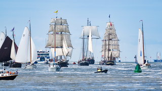 Zee, zeilen en Harlingen, Sail gaat weer van start